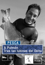 Imagen de A Pulmón (T1) - 11