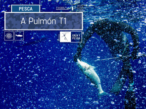 Imagen de A Pulmón (T1) - 2