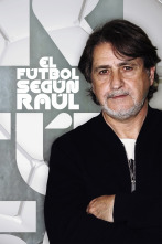Imagen de El fútbol según Raúl (2) - 1