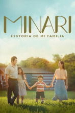 Imagen de Minari. Historia de mi familia - 1