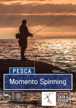 Imagen de Momento Spinning (T1) - 1