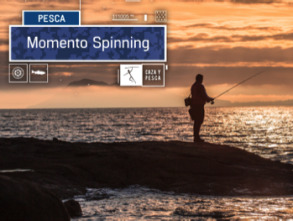 Imagen de Momento Spinning (T1) - 2
