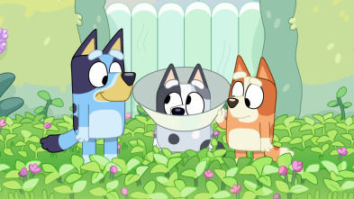 Imagen de Bluey (T2): El cono de Muffin - 1
