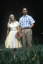 Imagen de Forrest Gump - 10