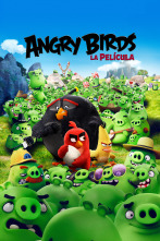 Imagen de Angry Birds. La película - 1