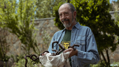 Imagen de Sentimos las molestias (T1): Ep.4  - 2
