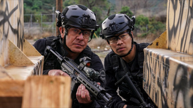Imagen de S.W.A.T.: Los... (T5): Ep.18 Familia - 2
