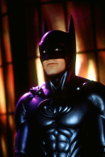 Imagen de Batman y Robin - 8