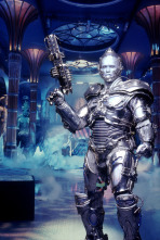 Imagen de Batman y Robin - 14