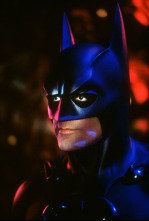 Imagen de Batman y Robin - 15