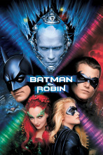 Imagen de Batman y Robin - 1
