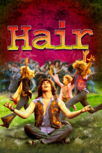 Imagen de Hair - 1
