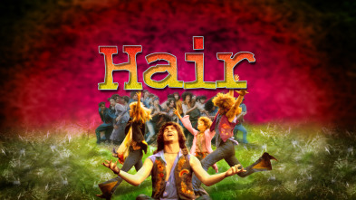 Imagen de Hair - 2
