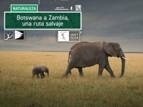 Imagen de Botswana a Zambia una ruta salvaje - 2