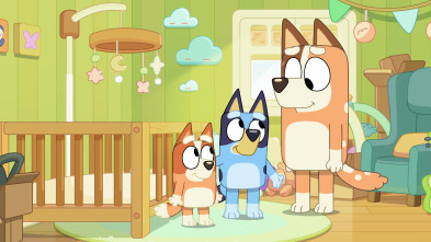 Imagen de Bluey (T3): La habitación - 2
