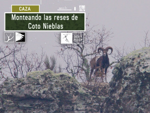 Imagen de Monteando las reses de Coto Nieblas - 2