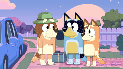 Imagen de Bluey (T3): Teléfonos - 1