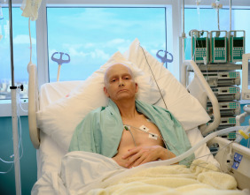 Imagen de (LSE) - Litvinenko (T1): Ep.1  - 2