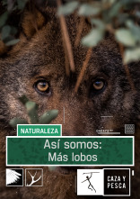 Imagen de Así somos (T1): Más lobos - 1