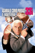 Imagen de Agárralo como puedas 33 1/3: El insulto final - 1