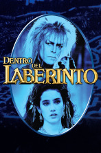 Imagen de Dentro del laberinto - 1
