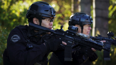 Imagen de S.W.A.T.:  Los... (T6): Ep.13 Abuso - 5