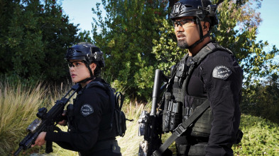 Imagen de S.W.A.T.:  Los... (T6): Ep.12 Adicto - 2