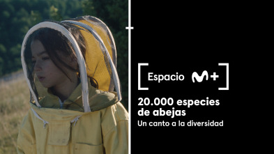 Imagen de Espacio M+ (T1): 20.000 especies de abejas - 2