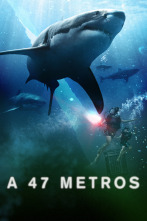 Imagen de A 47 metros - 1