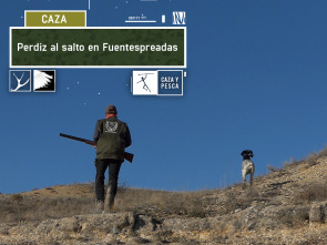 Imagen de Perdiz al salto en Fuentespreadas - 2