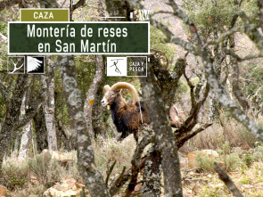 Imagen de Montería de reses en San Martín - 2