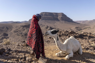 Imagen de Zodi & Tehu, aventuras en el desierto - 7
