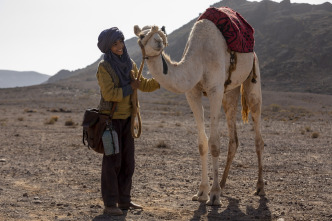 Imagen de Zodi & Tehu, aventuras en el desierto - 9