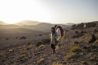 Imagen de Zodi & Tehu, aventuras en el desierto - 12