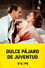 Imagen de Dulce pájaro de juventud - 2