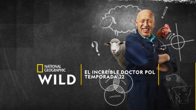 Imagen de El Increíble Doctor Pol: Tater es veloz - 3
