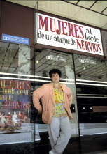 Imagen de Todo sobre Almodóvar - 5