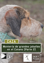 Imagen de Montería de grandes jabalíes en el Cotano. 2ª parte - 1