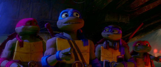 Imagen de Ninja Turtles: caos mutante - 3