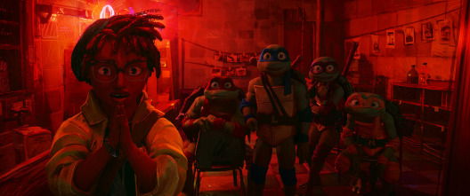 Imagen de Ninja Turtles: caos mutante - 5