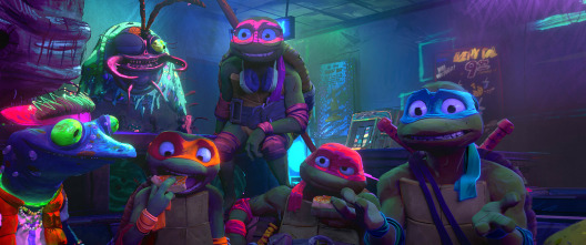 Imagen de Ninja Turtles: caos mutante - 8
