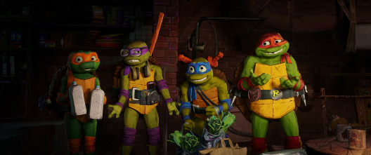 Imagen de Ninja Turtles: caos mutante - 12