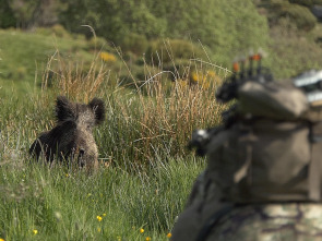 Imagen de La forja de un arquero (T2): Ep.3 - 4