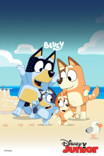 Imagen de Bluey (T3) - 1