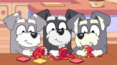 Imagen de Bluey (T3): Magia - 1
