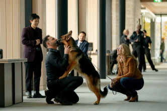 Imagen de Hudson y Rex (T5): Ep.13 La ley Miranda - 1