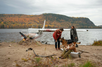 Imagen de Hudson y Rex (T5): Ep.14 Rex a escena - 1