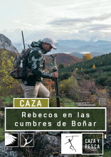 Imagen de Rebecos en las cumbres de Boñar - 1