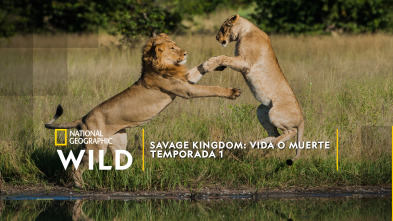 Imagen de Savage Kingdom: La armada rebelde - 2