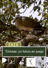 Imagen de Tórtolas: Un futuro en juego - 1
